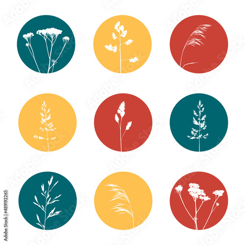 Set of story highlights covers with herbal silhouettes for blogs and social networks design