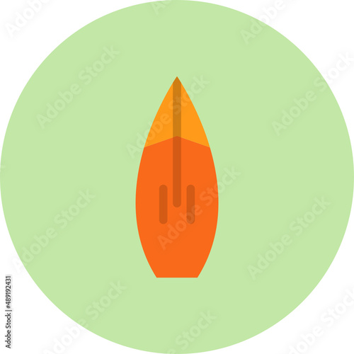 Surfboard Icon