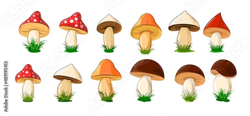 Set of different colored mushrooms in cartoon style. Objects isolated on white background. Vector