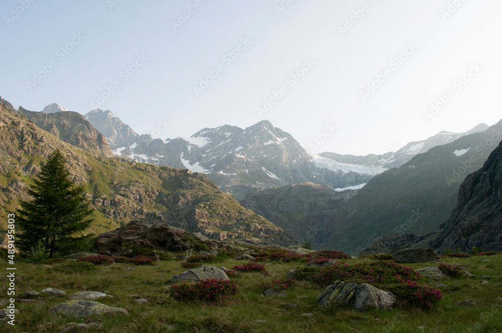 Italian Alpine Landscape in the Morning