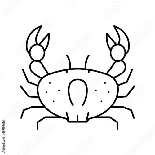 crab ocean line icon vector illustration