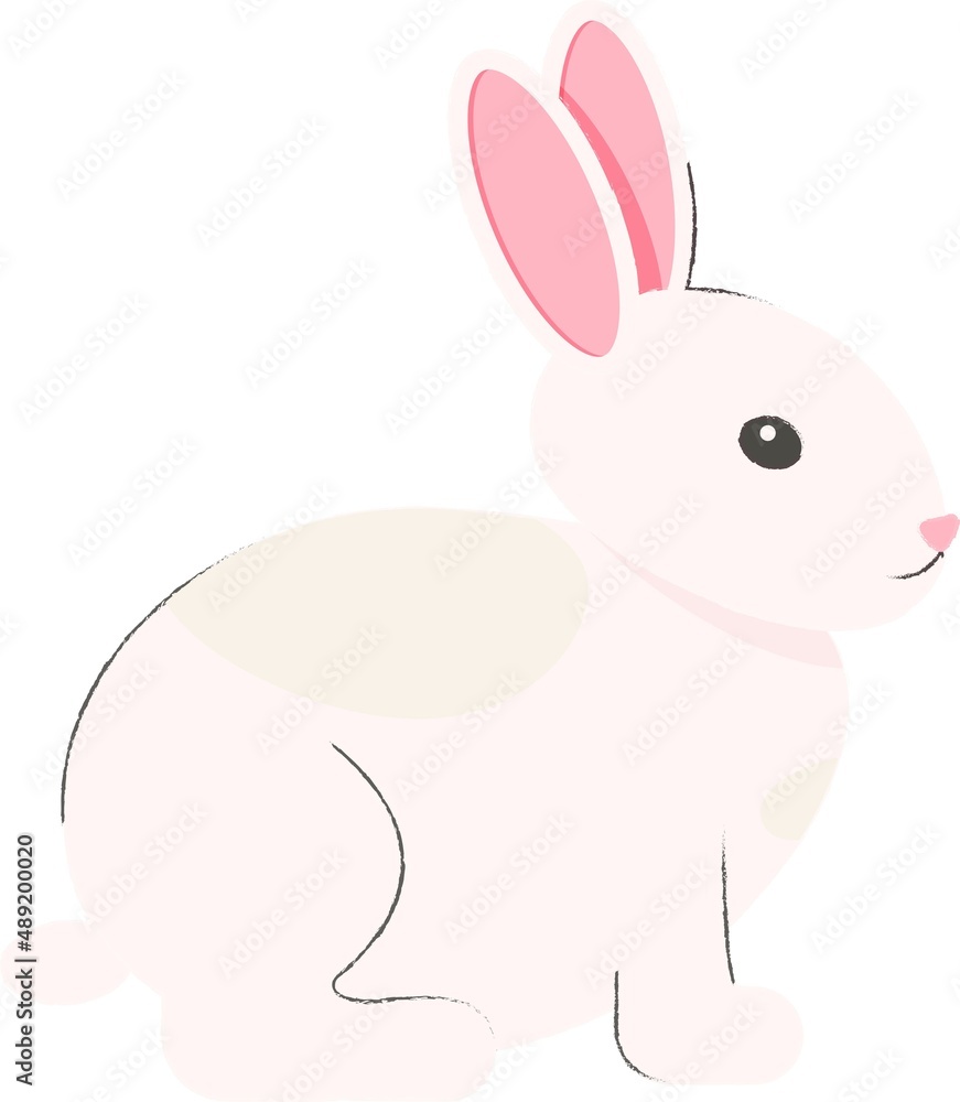 Obraz premium Cute white rabbit sitting