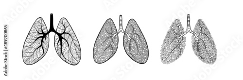 Set of cute and creative hand drawn lungs isolated on white background. Vector illustration.