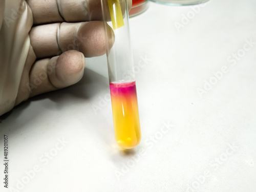 Motility test media showing good and bad stab lines. Visible color going out from the stab line indicates bacteria motility. photo