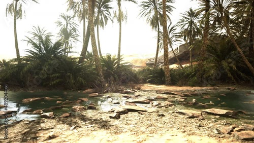 Desert oasis pond with palm trees and plants