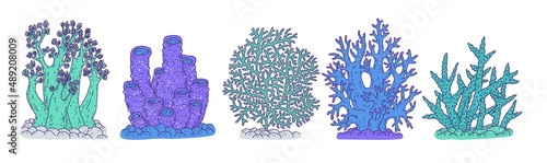 Set blue corals different forms. Vector coralline reef ocean animals underwater life doodle line isolated illustrations.