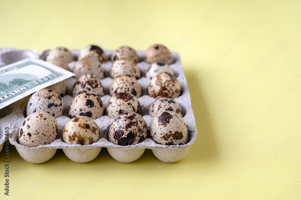 quail eggs in cardboard packaging on yellow background for sale to client and money. Close-up. Business of quail breeding, poultry farming. Healthy food, diet