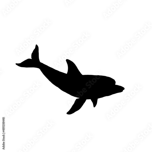 Dolphin silhouette aquatic animal doodle vector Illustration.