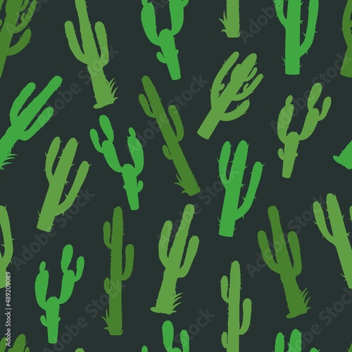 Cactus colorful vintage seamless pattern