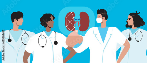 Urologists with students and kidneys. , flat vector stock illustration with doctors and human genitourinary organ, training in medicine