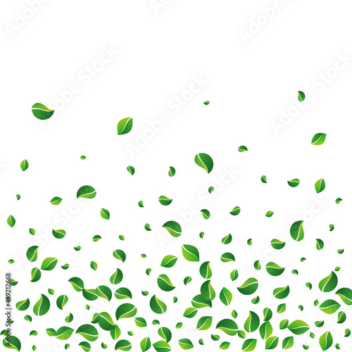 Forest Greens Blur Vector White Background. Tree