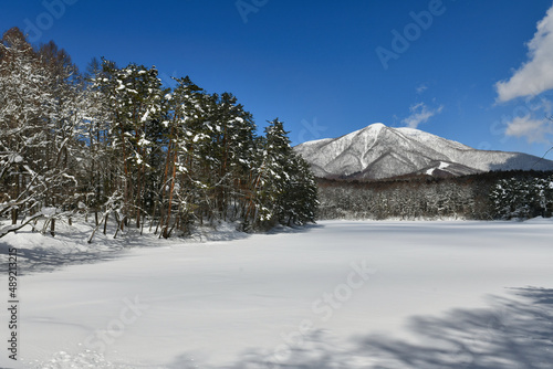 凍結の池から望む冬の飯綱山