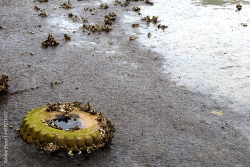 Old truck tire was seen on the beach at low tide