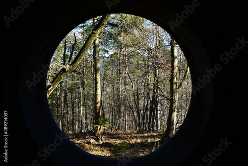 View of a forest from a round hole in old millitary bunker at the Rupnik defensive line