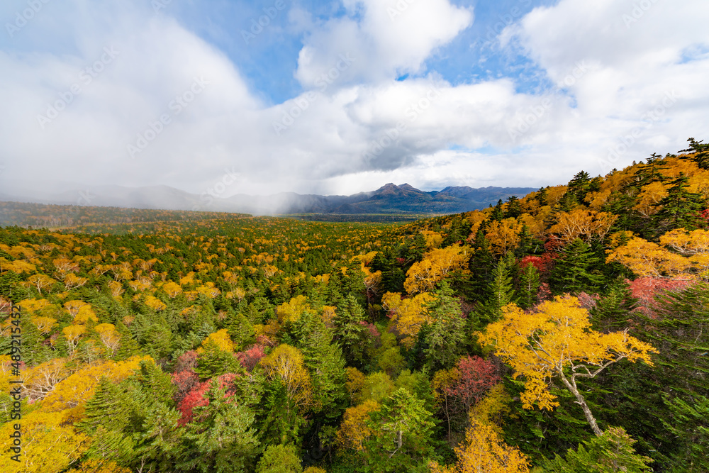 日本・北海道・三国峠の秋