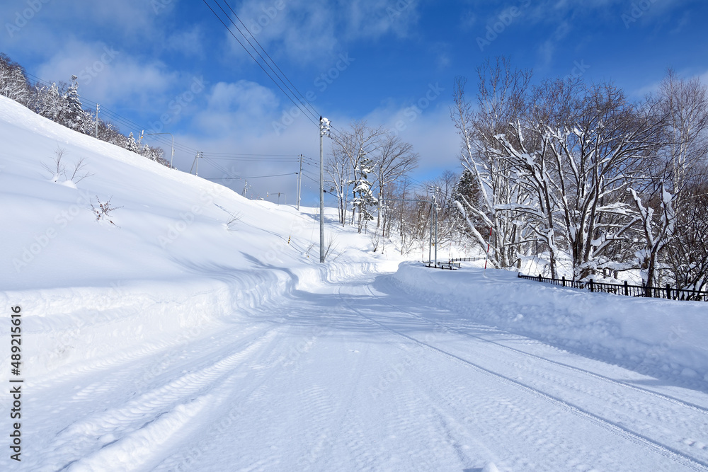 北海道の自然・冬・雪 北海道の自然・冬・雪