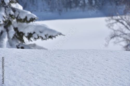 Wallpaper Mural 北海道の自然・冬・雪 Torontodigital.ca