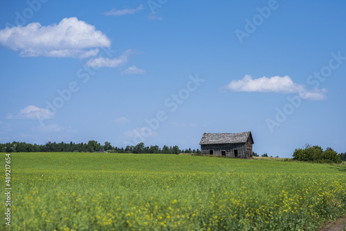 Little farmhouse with a green field in Stony Plain Alberta photo