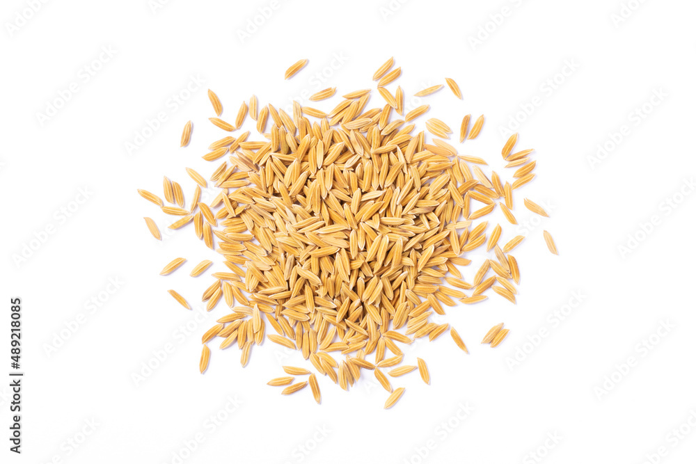 Pile of paddy rice (unmilled rice) isolated on white background. Top view. Flat lay. Pile of paddy rice (unmilled rice) isolated on white background. Top view. Flat lay.