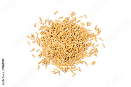 Pile of paddy rice (unmilled rice) isolated on white background. Top view. Flat lay.