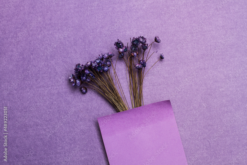 4 Fondos para Whatsapp en color Pastel  Violeta  Gạch Duravit Flower  power