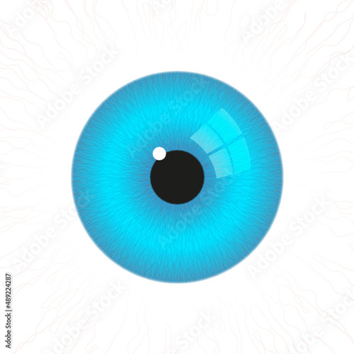 Auge Vektor