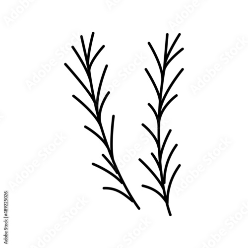 rosemary spice aromatherapy color icon vector isolated illustration