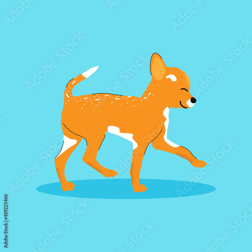 Dog character. Vector flat illustration
