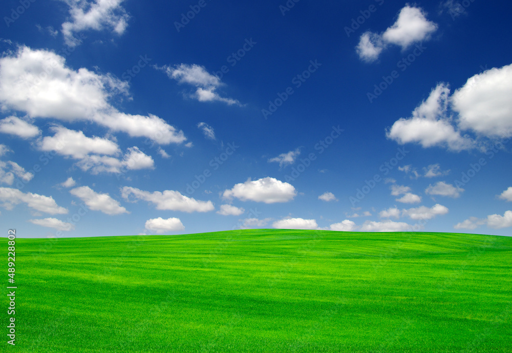 field and sky field and sky