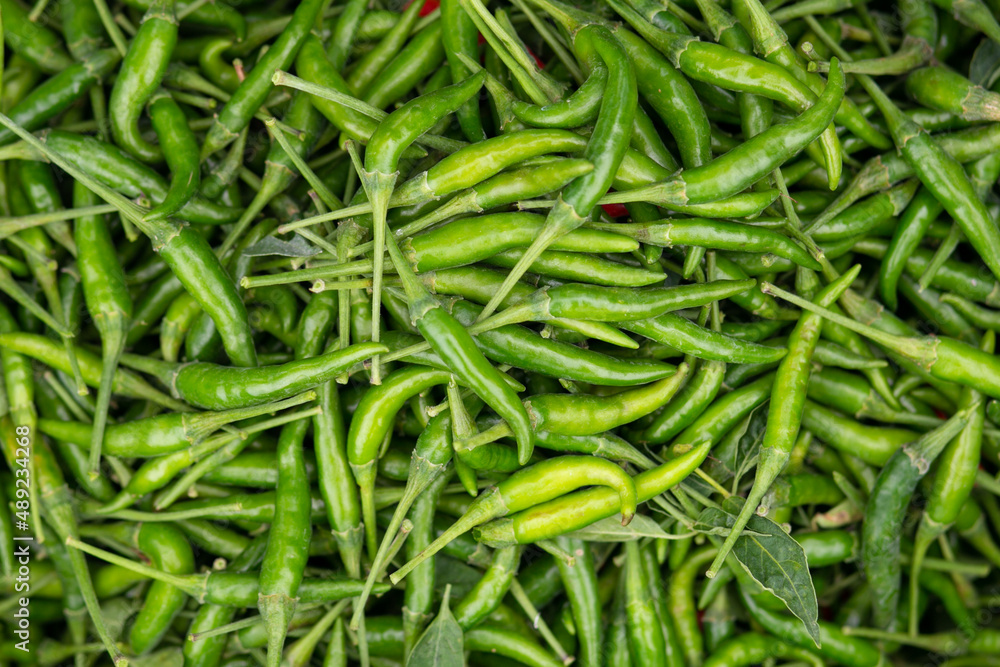 Fresh Chili in organic garden. Fresh Chili in organic garden.
