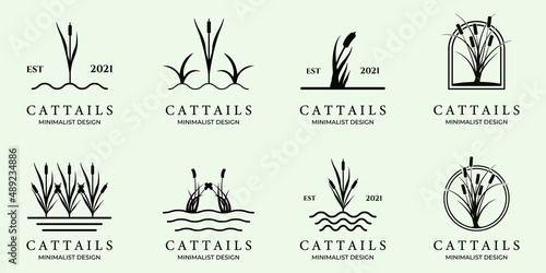 set of cattails or Cat tail line art minimalist simple vector logo icon illustration design creative photo