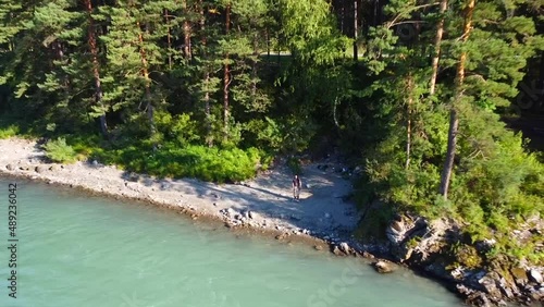 A turquoise mountain river among a coniferous forest and a blue sky. Recording from a drone.