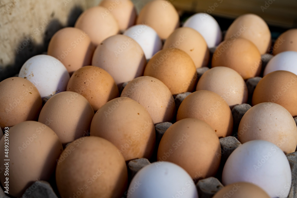 Jajka, Kurze jajka, zdrowe jajka, Jajka w pojemniku, jajka od zdrowych kur, kury z wolnego wybiegu, kolorowe jajka, eggs, healthy eggs,
Jajka, Kurze jajka, zdrowe jajka, Jajka w pojemniku, jajka od zdrowych kur, kury z wolnego wybiegu, kolorowe jajka, eggs, healthy eggs,