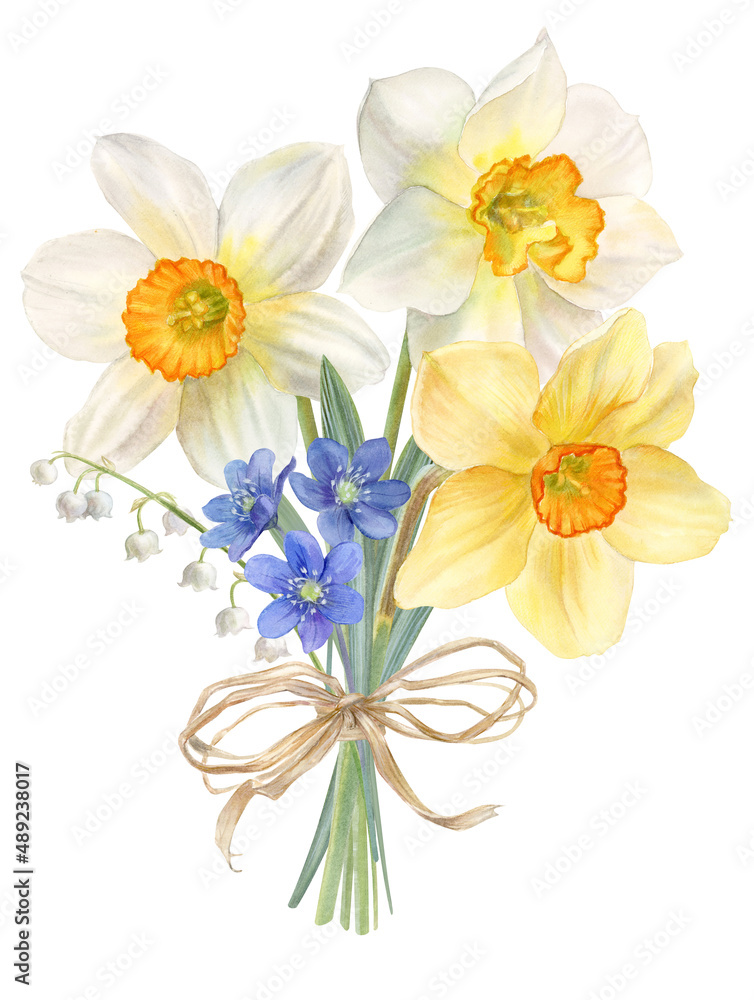Spring flowers, bouquet with daffodils, watercolor illustration