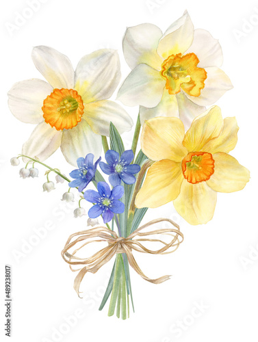 Spring flowers, bouquet with daffodils, watercolor illustration © Ekaterina