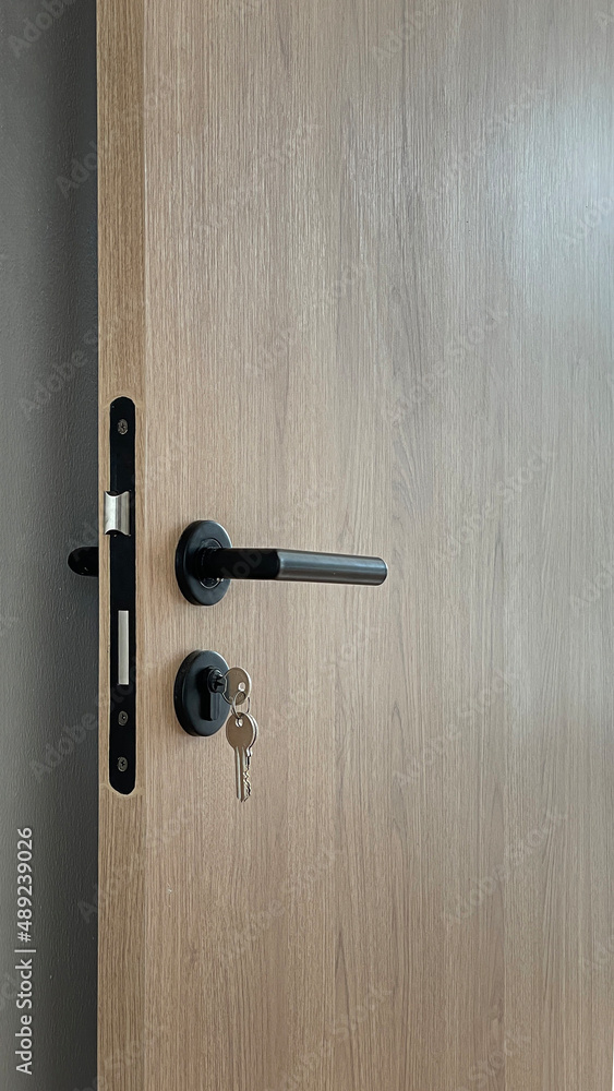 Obraz premium Closeup detail of door handle in house, wooden door with black handle set.