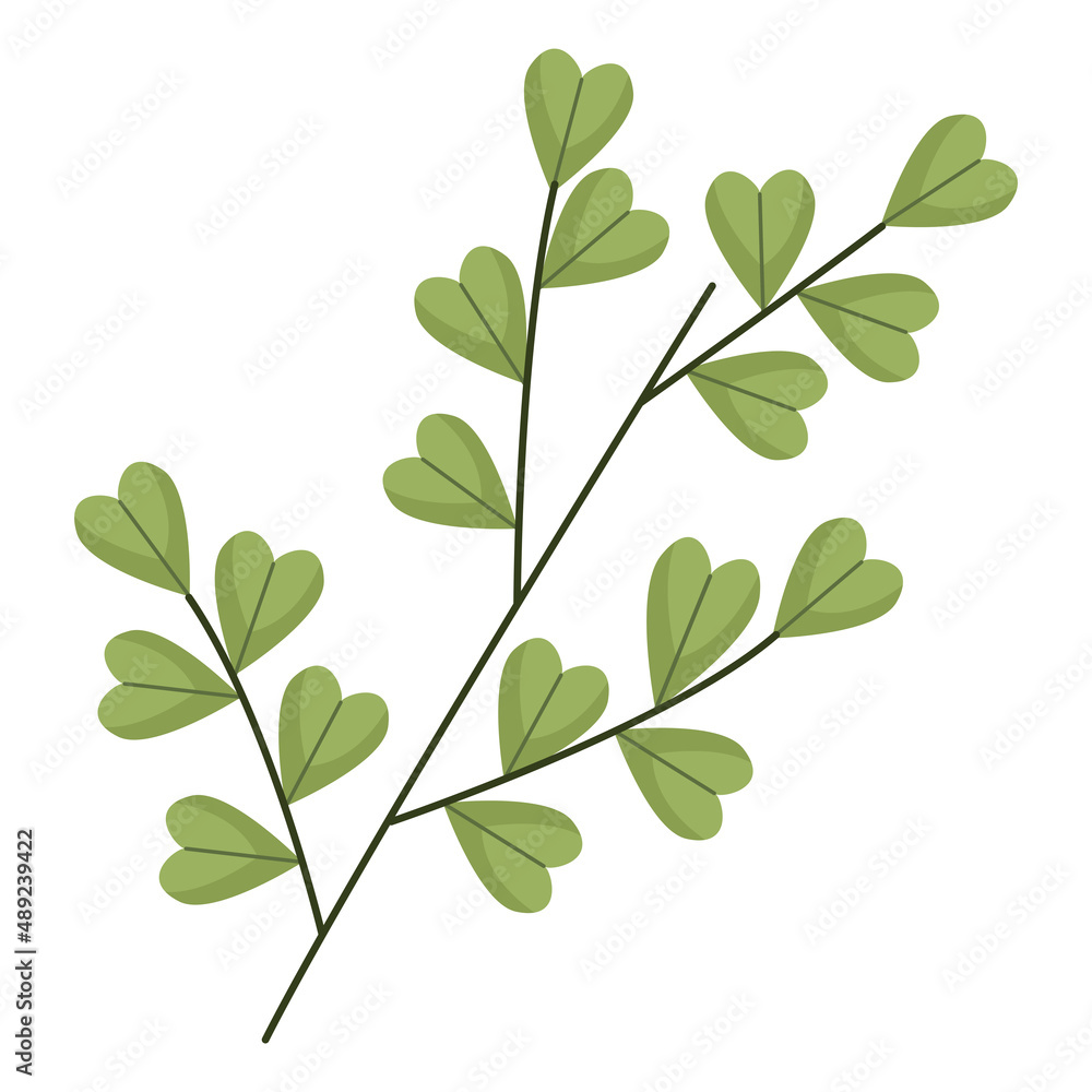 Fototapeta premium branches with leafs