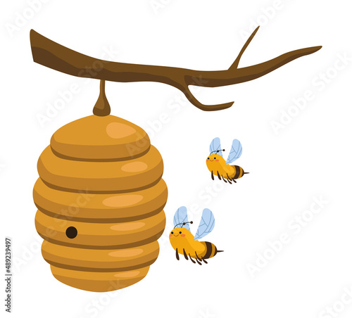 bees on honeycomb