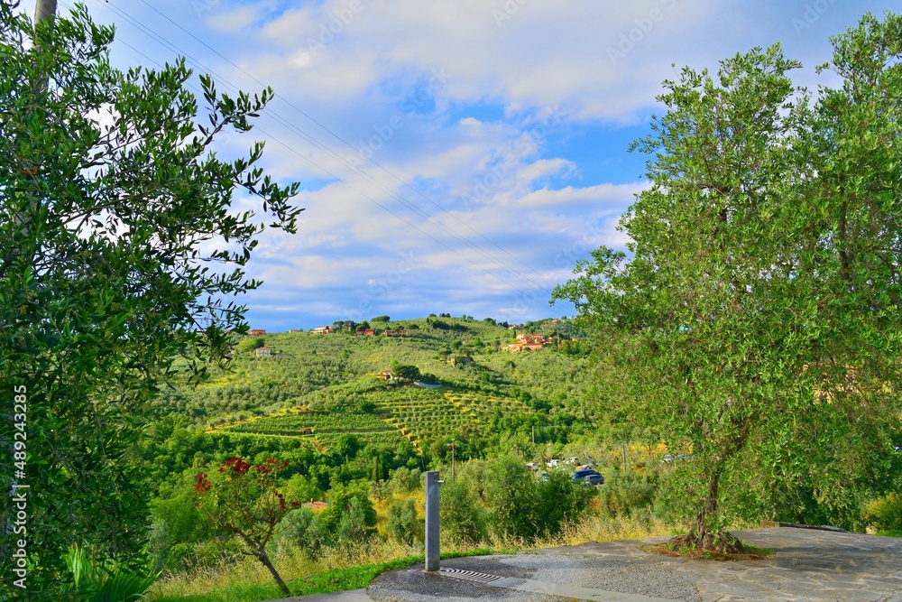 Tuscan landscape in the locality of Vinci in Florence, Italy known for being the place of origin of the genius Leonardo da Vinci Tuscan landscape in the locality of Vinci in Florence, Italy known for being the place of origin of the genius Leonardo da Vinci