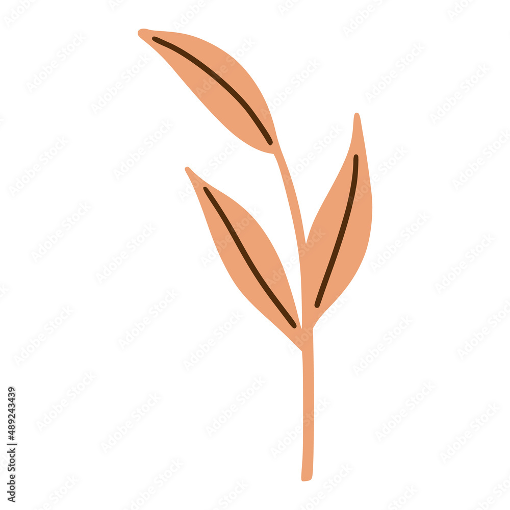 Hand drawn branch with leaves Hand drawn branch with leaves