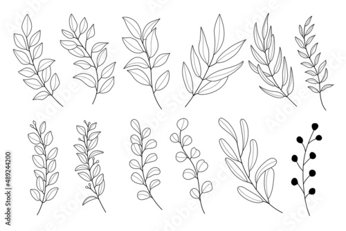 Line art leaf illustration vector on white background