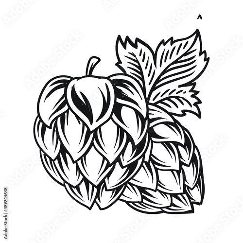 hops fruit beer for logo