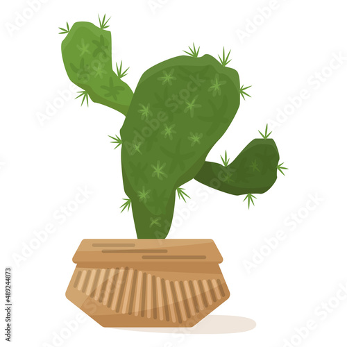 Cactus with curly appendages with sharp spikes. Succulent in a flower pot, a houseplant for home, office, greenhouse.  Vector icon, color cartoon, complex flat, isolated
