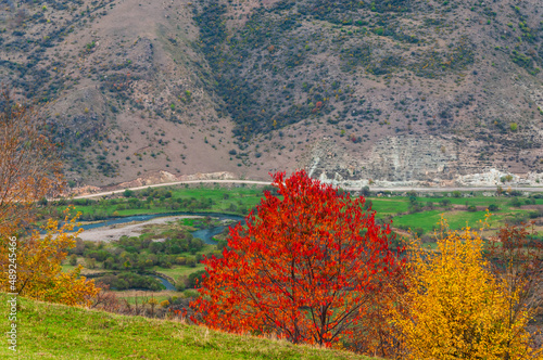 Colorful autumn landscape with Dzoraget river and mountains