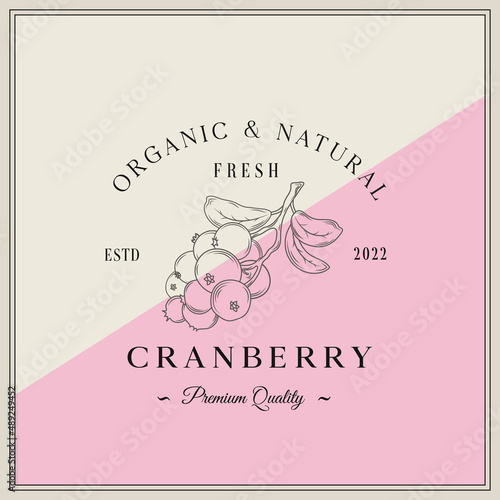 Cranberry Ripe berries. Template for product label, cosmetic packaging. Easy to edit. Graphic drawing, engraving style. Vector illustration.