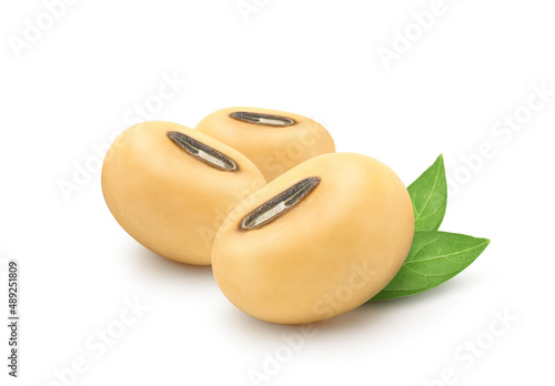 Tableau sur toile Soybeans  with green leaves  isolated on white background.