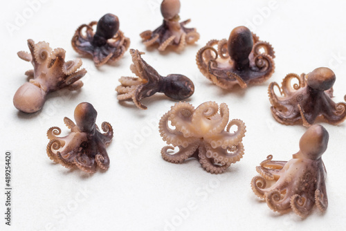 Boiled octopus babies on table. Top view