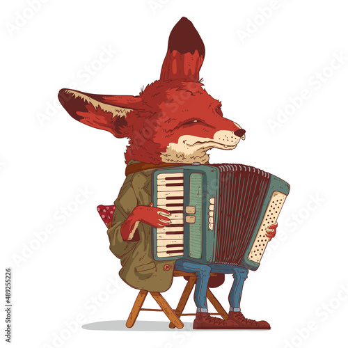 A musician fox, vector illustration. Calm anthropomorphic fox, wearing a jacket, sitting on folding chair, playing the accordion. Humanized fennec accordionist. An animal character with a human body
