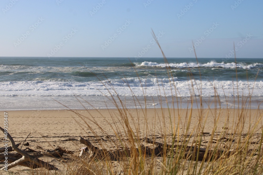 plage déserte