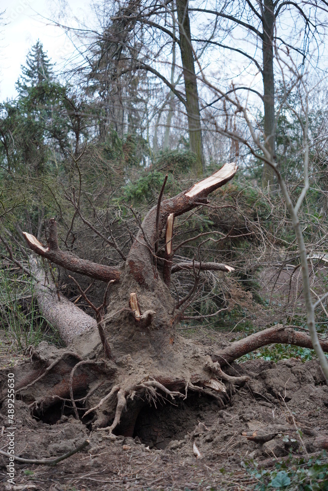 Berlin Zeynep hurricane 
